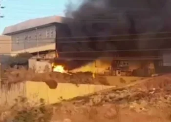 Gemlik Serbest Bölge’de çıkan yangın korkuttu