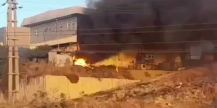 Gemlik Serbest Bölge’de çıkan yangın korkuttu