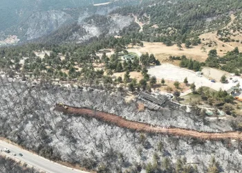 ‘İlk dersim yeşil vatan’ yanan ormanda gerçekleşti
