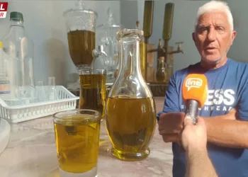 Üreticiler uyardı: Bu yıl zeytinyağı daha pahalı olacak