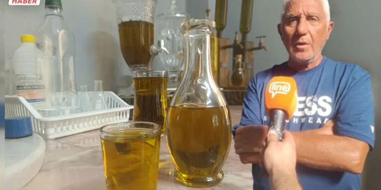 Üreticiler uyardı: Bu yıl zeytinyağı daha pahalı olacak