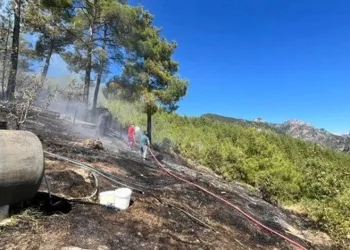 Adana’da orman yangını: Müdahale sürüyor