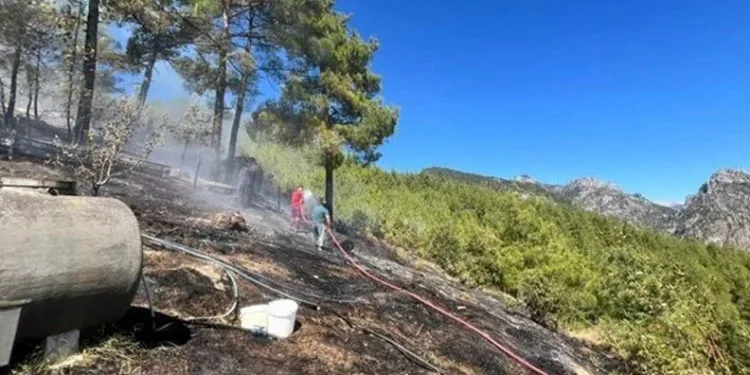 Adana’da orman yangını: Müdahale sürüyor