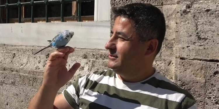 Sahibinin omzunda ve elinde çarşıyı geziyor