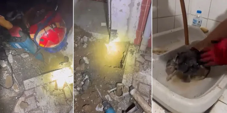 Bursa’da kedi kurtarma operasyonu
