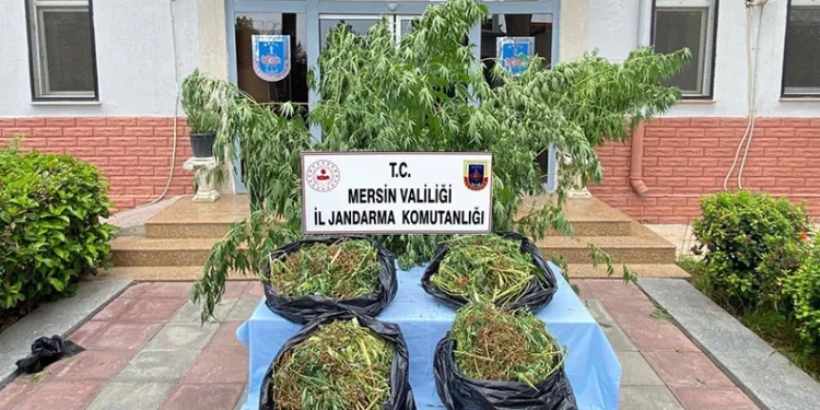 Mersin’de zehir tacirlerine darbe