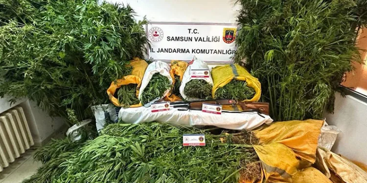 Samsun’da 57 kilo 955 gram kubar esrar ele geçti