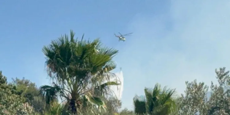 Muğla’da ekipler 3 bölgede alevlerle mücadele ediyor