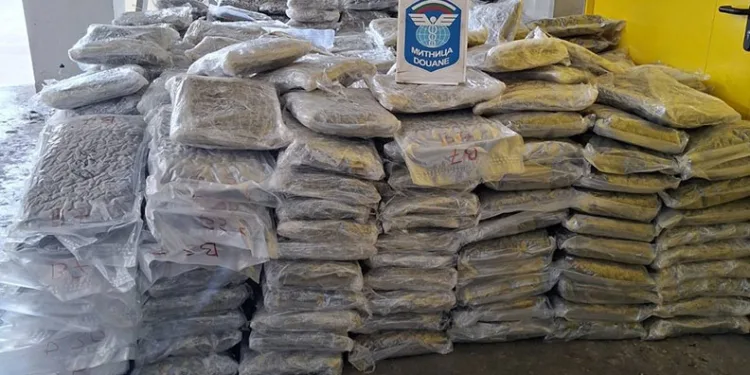 Sınır kapısında 739 kilo esrar ele geçirildi