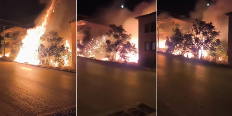 Bursa’da alev alan ağaçlar villaları böyle tehdit etti