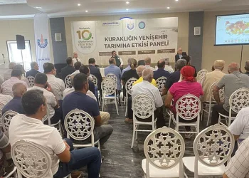 Kuraklığın Yenişehir tarımına etkisi