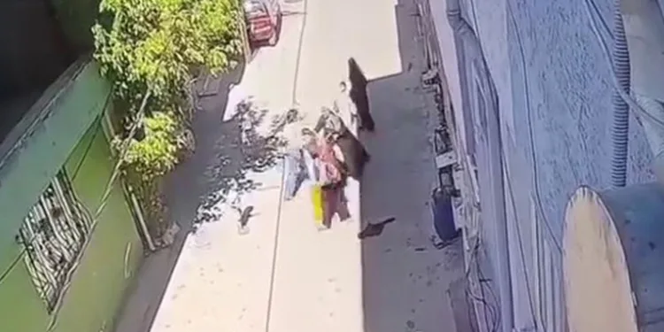 Bursa’da kucağında çocuğu olan anneye sokak ortasında dayak