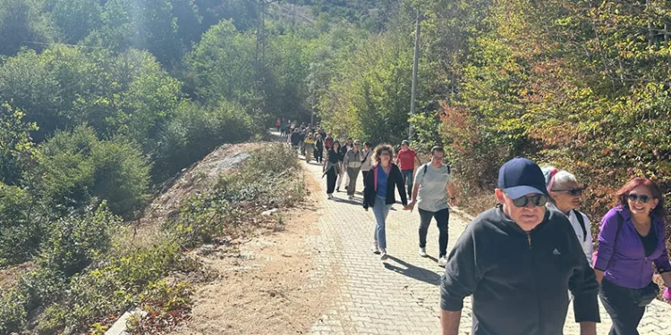 Alzheimer’a karşı farkındalık yürüyüşü