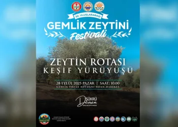 Gemlik’te Zeytin Rotası Yürüyüşü
