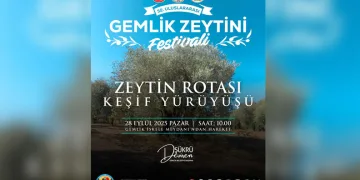 Gemlik’te Zeytin Rotası Yürüyüşü