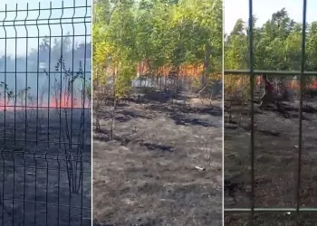 Ziraat meslek lisesinin bahçesi alevlere teslim oldu
