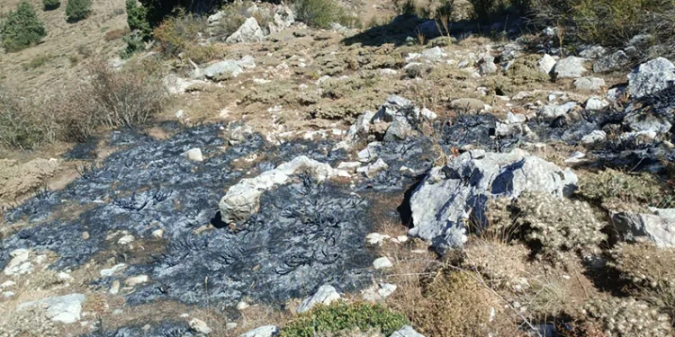 Ordu’da silahlı saldırı: 2 ölü