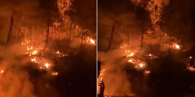 Gazipaşa’da ormanlık alanda çıkan yangın kontrol altına alındı