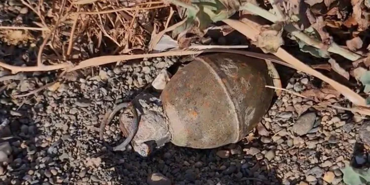 İznik Gölü kıyısında el bombası paniği