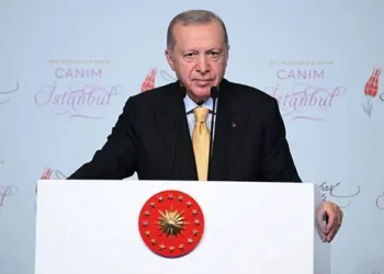 Bursa’da çalılık alanda yangın