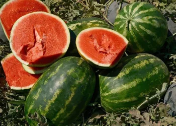 70 kilometrede fiyatı katlanıyor