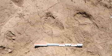 “7 bin yıl öncesinden adımlar, Hatay’da keşfedildi”