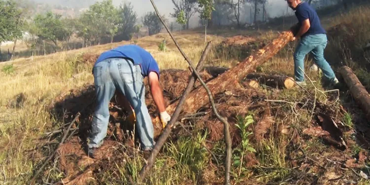 Zonguldak’ta lüks yat denize indikten 15 dakika sonra battı