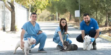 İzmir’de el konulan 20 cins köpek Işıkkent Köpek Bakımevi’nde