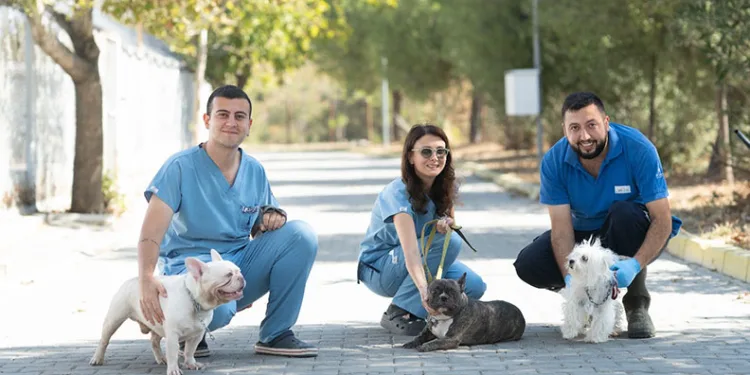 İzmir’de el konulan 20 cins köpek Işıkkent Köpek Bakımevi’nde