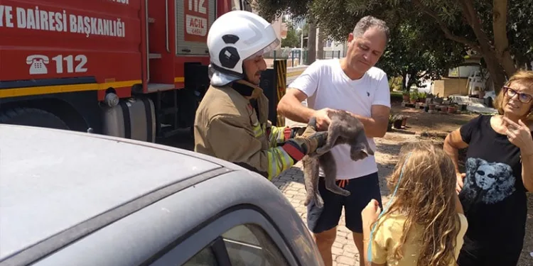 Siirt’te zincirleme kaza: 4 yaralı
