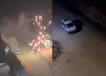 Bursa’da çalılık alanda yangın