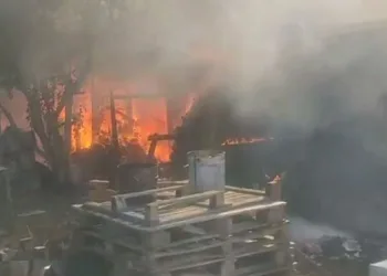Bursa’da bağ evi alev alev yandı