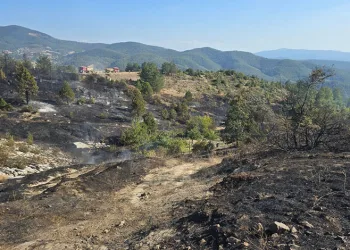 Bursa’da ormanda piknik keyfi, faciaya sebep oluyordu…