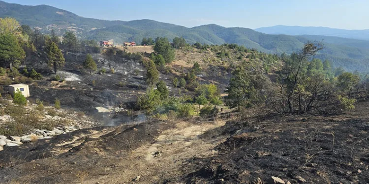 Bursa’da ormanda piknik keyfi, faciaya sebep oluyordu…