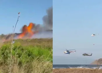 Bursa’da çalılık alanda yangın