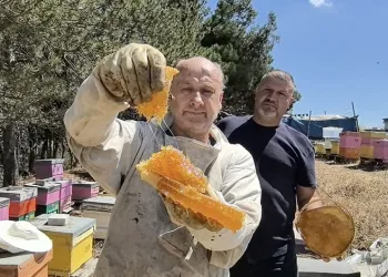 Bursa’da üretiliyor, her derde deva