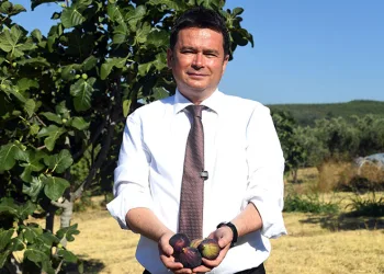 “Siyah incirimizi korumalıyız”