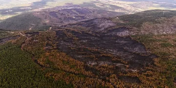 Karabük’te yanan alanlar havadan görüntülendi