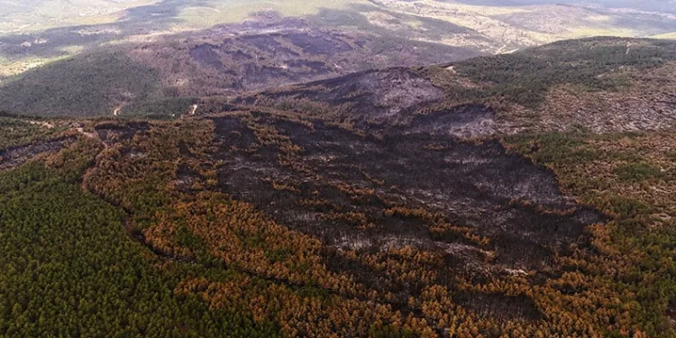 Karabük’te yanan alanlar havadan görüntülendi