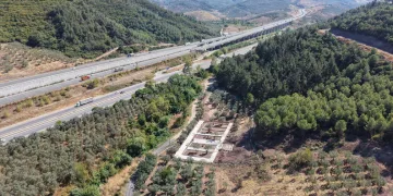 Patili Canlar Merkezi’nde Çalışmalar Başladı