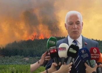 Bozbey’den yangın açıklaması: “Bu yangınlar tesadüf değil”