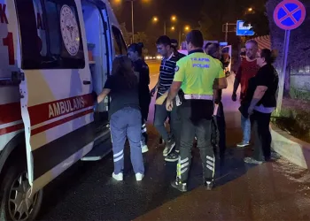 Bursa’da çalılık alanda yangın