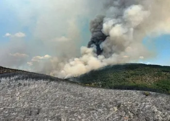 Karabük ve Kastamonu’da yangınlar devam ediyor