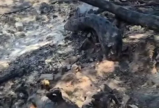 Motosiklet ile otomobil çarpıştı: 3 yaralı