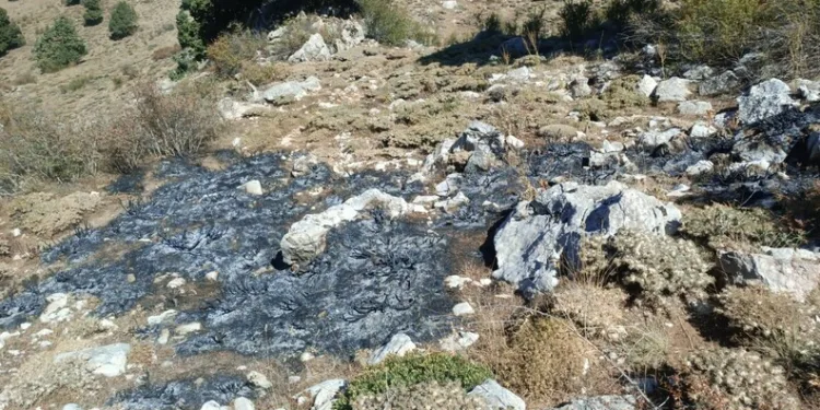Edirne’de şok uygulama: Araçlar didik didik arandı