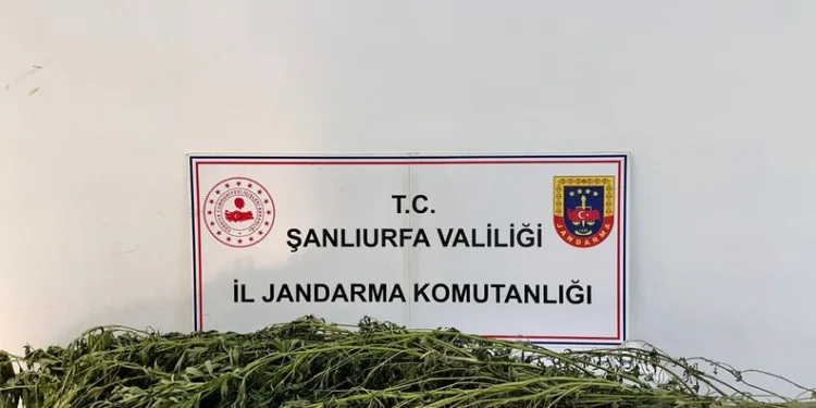 Akşehir’de uyuşturucu operasyonu: 2 kişi tutuklandı