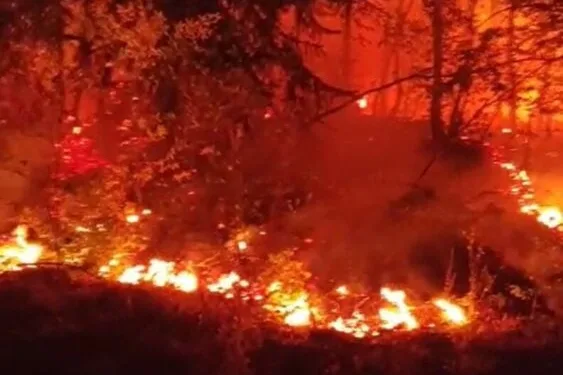 Düzce’de bir bölgede daha orman yangını çıktı