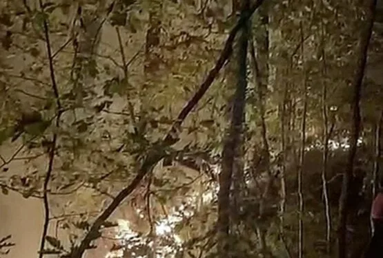 Düzce’de bir bölgede daha orman yangını çıktı