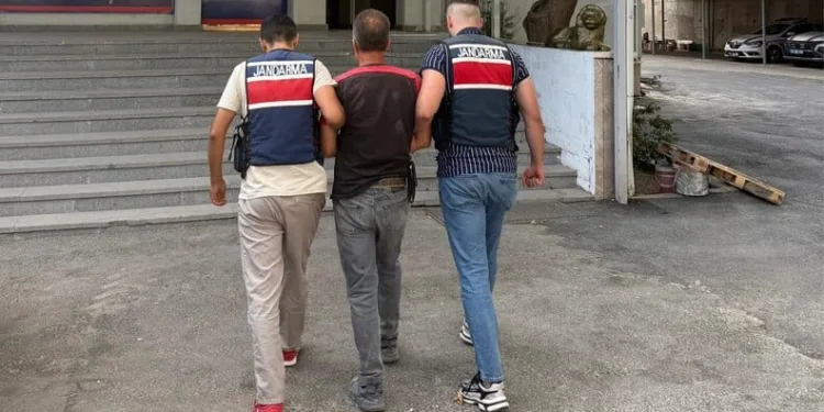 Düzce’de bir bölgede daha orman yangını çıktı