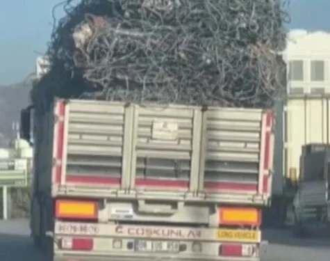 Düzce’de bir bölgede daha orman yangını çıktı